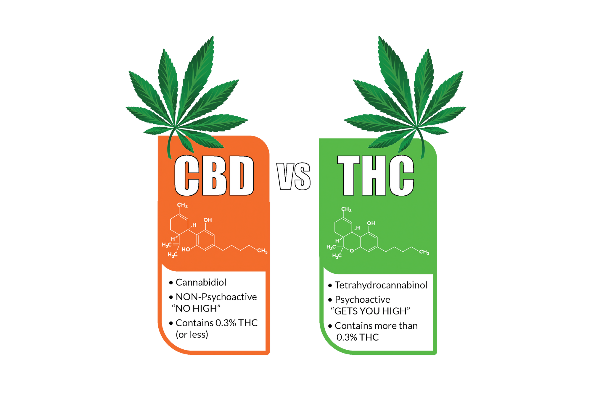 Hemp Vs. Cannabis - What's the Difference?